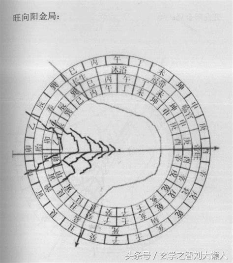 火帶木局|【火帶木局】揭秘「火帶木局」五行面相！你屬於哪種體型？